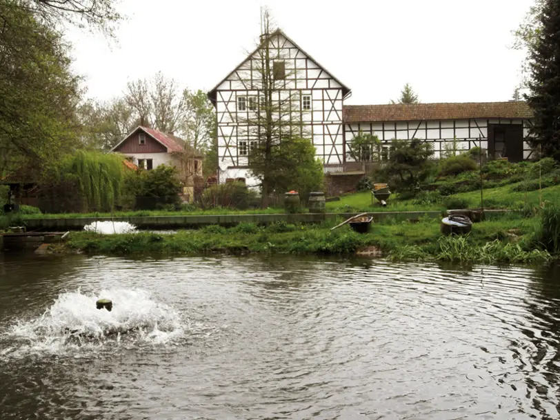 Forellenhof Obermühle Müller in Krölpa